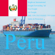 Empresa de Logística Sea Freight Shipping Forwarder de China a Perú